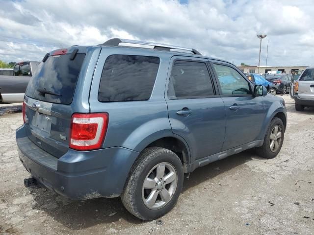 2011 Ford Escape Limited