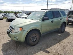 Ford Vehiculos salvage en venta: 2008 Ford Escape XLT