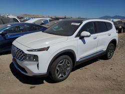 Salvage cars for sale at Martinez, CA auction: 2023 Hyundai Santa FE SEL Premium