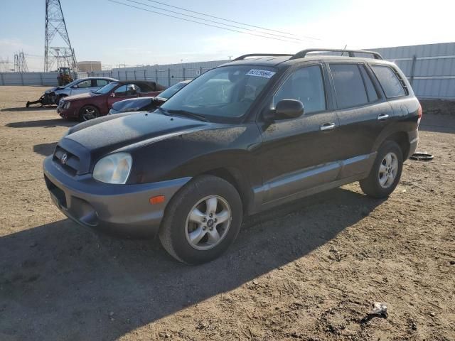 2005 Hyundai Santa FE GLS