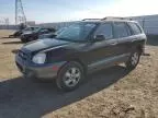 2005 Hyundai Santa FE GLS