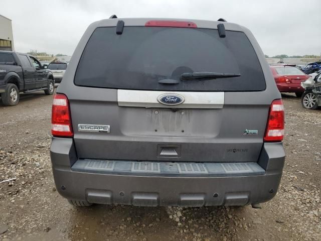 2011 Ford Escape Limited