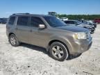 2009 Honda Pilot EXL