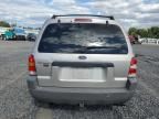 2001 Ford Escape XLT