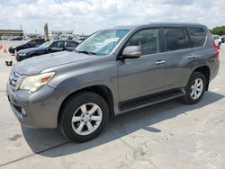 Salvage cars for sale at Grand Prairie, TX auction: 2010 Lexus GX 460