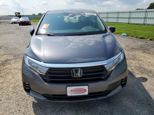 2024 Honda Odyssey Touring