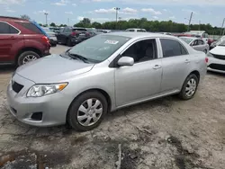 Toyota salvage cars for sale: 2010 Toyota Corolla Base