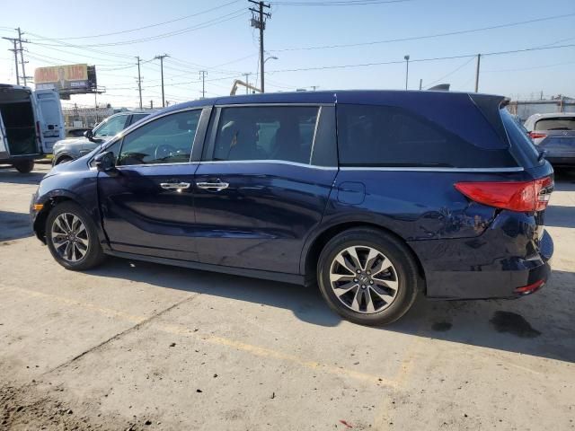 2022 Honda Odyssey EXL