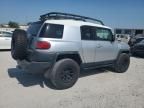 2007 Toyota FJ Cruiser