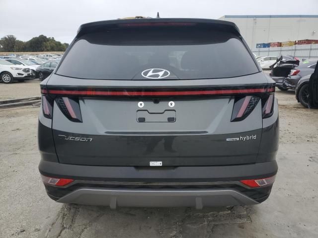 2024 Hyundai Tucson Limited