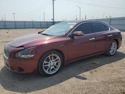 Nissan Vehiculos salvage en venta: 2010 Nissan Maxima S