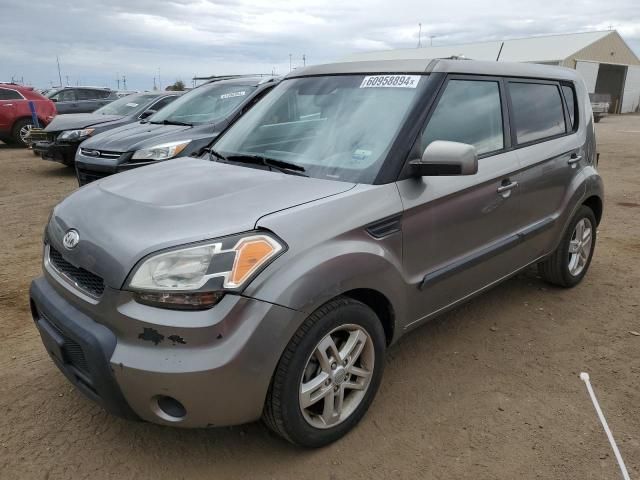 2011 KIA Soul +