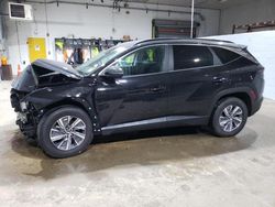 Salvage cars for sale at Candia, NH auction: 2022 Hyundai Tucson Blue