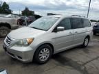 2008 Honda Odyssey EX