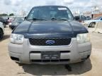 2002 Ford Escape XLT