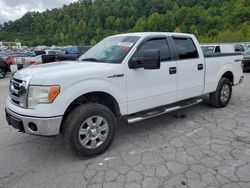 Ford Vehiculos salvage en venta: 2009 Ford F150 Supercrew