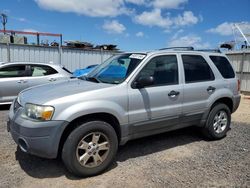 Vehiculos salvage en venta de Copart Kapolei, HI: 2005 Ford Escape XLT