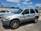 2005 Ford Escape XLT