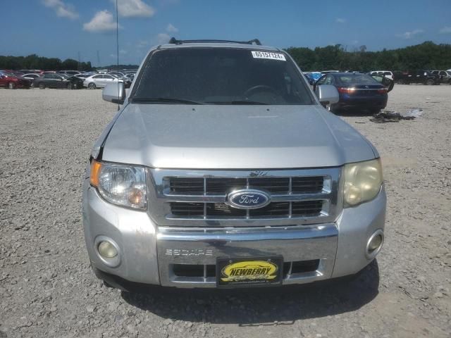 2010 Ford Escape Limited