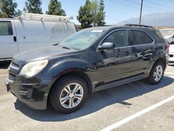 Chevrolet Equinox lt salvage cars for sale: 2013 Chevrolet Equinox LT