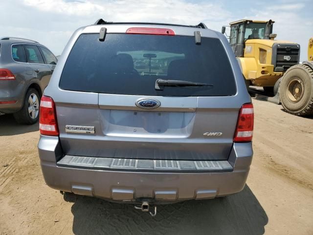 2008 Ford Escape XLT