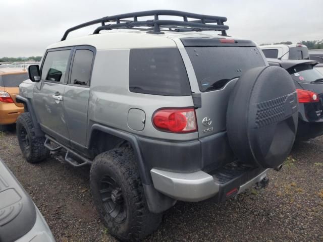 2010 Toyota FJ Cruiser