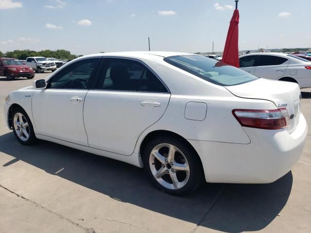 2009 Toyota Camry Hybrid