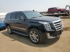 2015 Cadillac Escalade Luxury