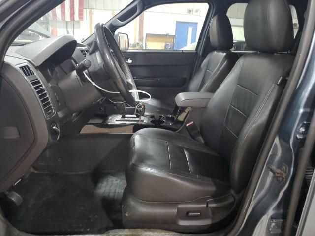 2010 Ford Escape Limited