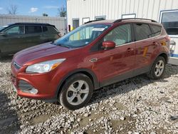 Salvage cars for sale at Appleton, WI auction: 2014 Ford Escape SE