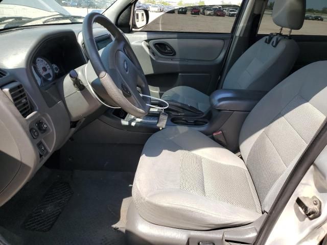 2007 Ford Escape XLT