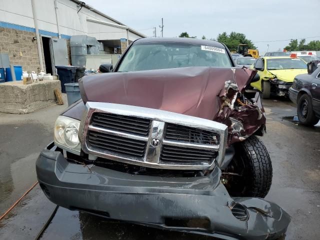 2005 Dodge Dakota Quattro