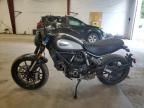 2021 Ducati Scrambler Desert Sled