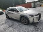 2019 Lexus UX 200