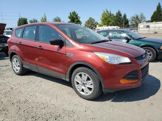 2014 Ford Escape S