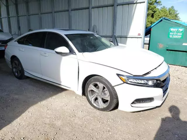 2019 Honda Accord EXL