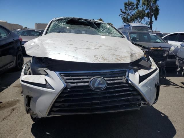 2021 Lexus NX 300H Base