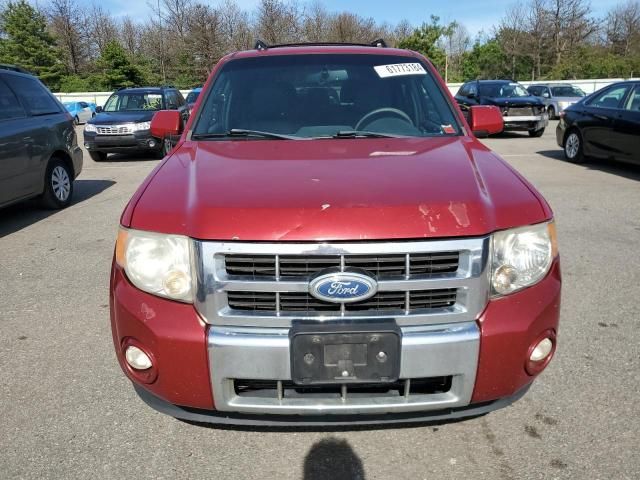 2011 Ford Escape Limited