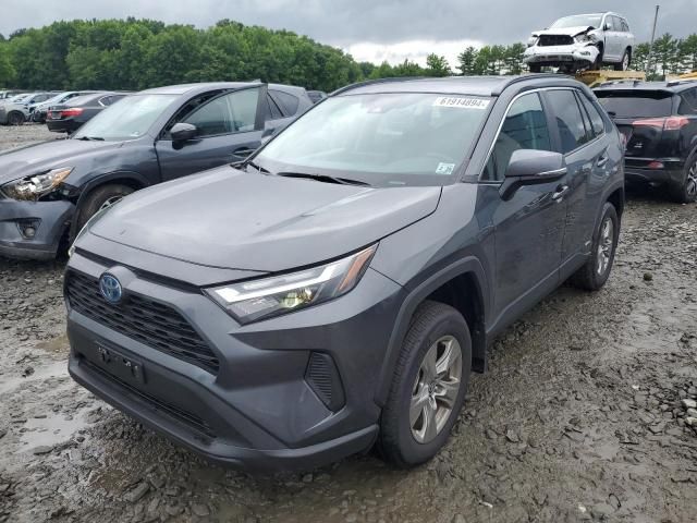 2024 Toyota Rav4 XLE