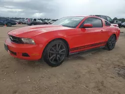 Salvage cars for sale at Houston, TX auction: 2012 Ford Mustang