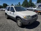 2005 Ford Escape XLT