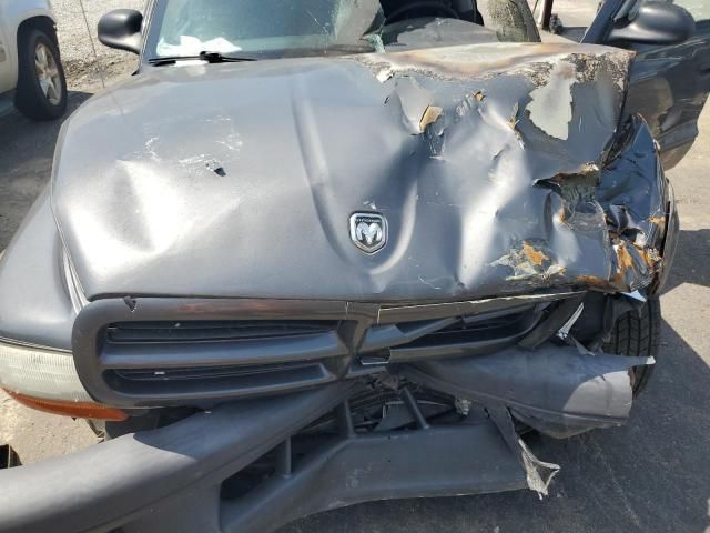 2003 Dodge Dakota Quad Sport