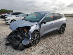 Salvage cars for sale at Temple, TX auction: 2022 Ford Escape SE