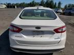 2016 Ford Fusion SE Hybrid