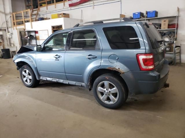 2011 Ford Escape Limited