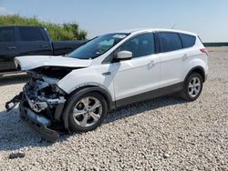 Salvage cars for sale at Taylor, TX auction: 2013 Ford Escape SE