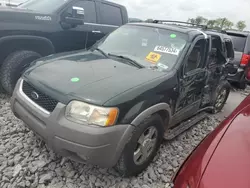 Ford salvage cars for sale: 2002 Ford Escape XLT