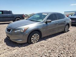 Honda salvage cars for sale: 2009 Honda Accord LX