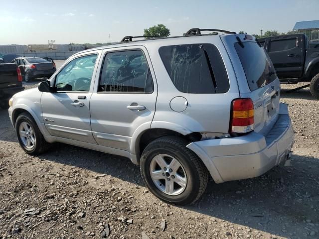 2006 Ford Escape HEV