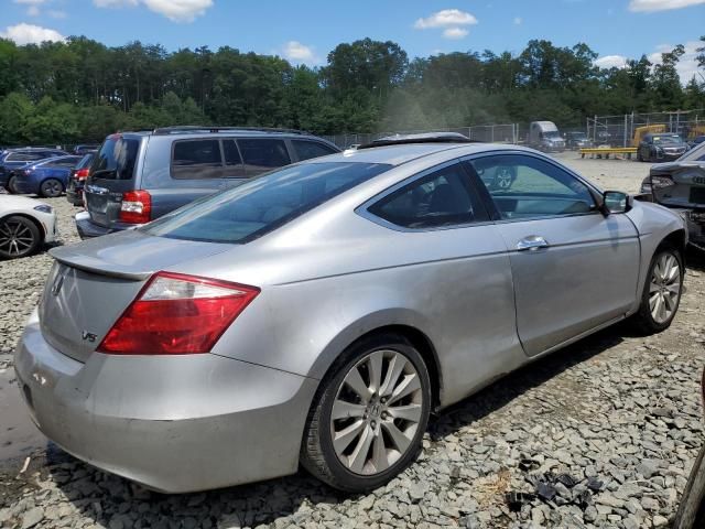 2008 Honda Accord EXL